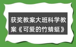 獲獎(jiǎng)教案大班科學(xué)教案《可愛(ài)的竹蜻蜓》活動(dòng)反思