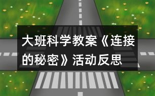 大班科學教案《連接的秘密》活動反思