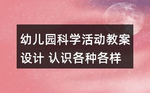 幼兒園科學活動教案設計 認識各種各樣的飛機反思