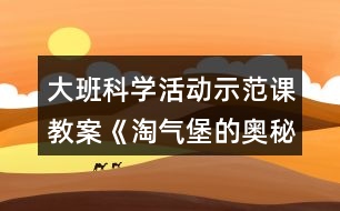 大班科學活動示范課教案《淘氣堡的奧秘》——大氣壓力在哪里