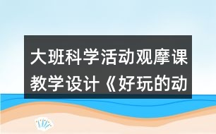 大班科學(xué)活動觀摩課教學(xué)設(shè)計《好玩的動畫》