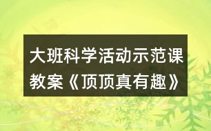 大班科學(xué)活動示范課教案《頂頂真有趣》