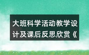 大班科學活動教學設計及課后反思欣賞《鳥的世界》