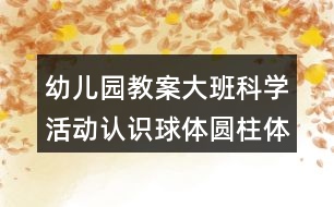 幼兒園教案大班科學活動認識球體圓柱體反思