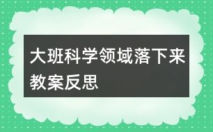 大班科學(xué)領(lǐng)域落下來教案反思