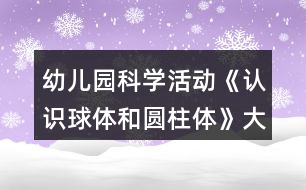 幼兒園科學(xué)活動(dòng)《認(rèn)識球體和圓柱體》大班教學(xué)設(shè)計(jì)