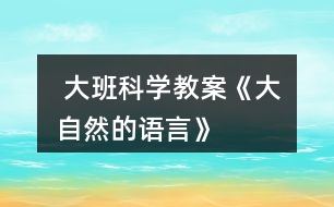  大班科學教案《大自然的語言》