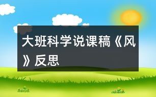 大班科學(xué)說課稿《風(fēng)》反思