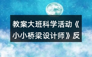 教案大班科學活動《小小橋梁設(shè)計師》反思