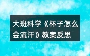 大班科學(xué)《杯子怎么會(huì)流汗》教案反思