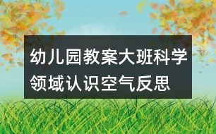 幼兒園教案大班科學(xué)領(lǐng)域認(rèn)識空氣反思