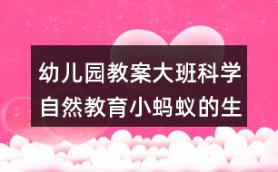 幼兒園教案大班科學(xué)自然教育小螞蟻的生日會(huì)反思