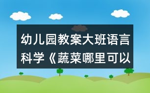 幼兒園教案大班語(yǔ)言科學(xué)《蔬菜哪里可以吃》總結(jié)