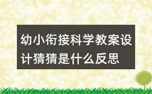 幼小銜接科學(xué)教案設(shè)計(jì)—猜猜是什么反思