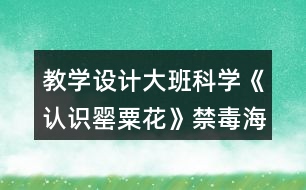 教學(xué)設(shè)計大班科學(xué)《認(rèn)識罌粟花》（禁毒海報）反思