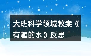 大班科學領(lǐng)域教案《有趣的水》反思