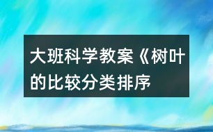 大班科學(xué)教案《樹葉的比較、分類、排序》反思