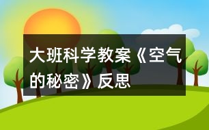 大班科學教案《空氣的秘密》反思