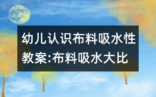 幼兒認(rèn)識(shí)布料吸水性教案:布料吸水大比拼