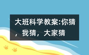 大班科學教案:你猜，我猜，大家猜