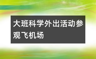 大班科學(xué)外出活動(dòng)參觀飛機(jī)場