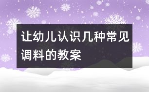 讓幼兒認(rèn)識(shí)幾種常見調(diào)料的教案