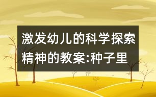 激發(fā)幼兒的科學(xué)探索精神的教案:種子里有什么