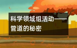 科學(xué)領(lǐng)域組活動――管道的秘密