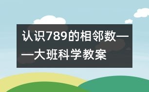 認識7、8、9的相鄰數(shù)――大班科學教案