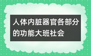 人體內(nèi)臟器官各部分的功能（大班社會(huì)）