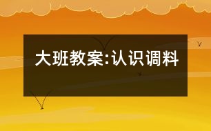 大班教案:認(rèn)識(shí)調(diào)料