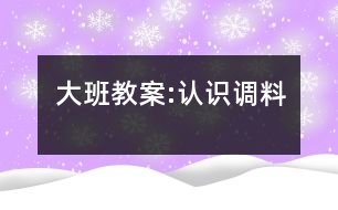 大班教案:認識調料