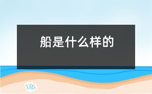 船是什么樣的