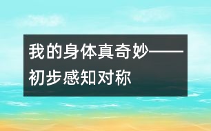 我的身體真奇妙――初步感知對稱