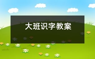 大班識(shí)字教案