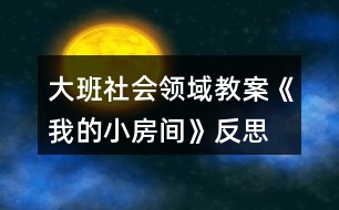 大班社會領(lǐng)域教案《我的小房間》反思