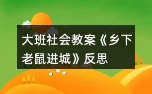 大班社會(huì)教案《鄉(xiāng)下老鼠進(jìn)城》反思