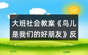 大班社會教案《鳥兒是我們的好朋友》反思