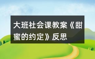 大班社會課教案《甜蜜的約定》反思