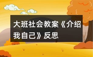 大班社會(huì)教案《介紹我自己》反思