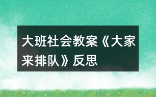 大班社會教案《大家來排隊》反思