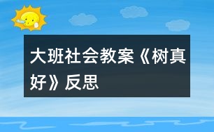 大班社會(huì)教案《樹真好》反思