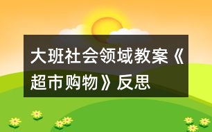 大班社會(huì)領(lǐng)域教案《超市購(gòu)物》反思