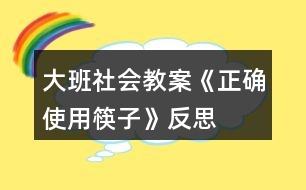 大班社會教案《正確使用筷子》反思