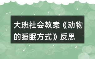 大班社會教案《動物的睡眠方式》反思