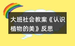 大班社會(huì)教案《認(rèn)識(shí)植物的美》反思