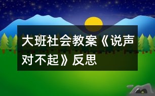 大班社會(huì)教案《說(shuō)聲“對(duì)不起”》反思