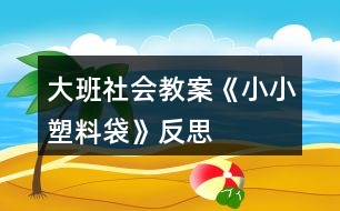 大班社會教案《小小塑料袋》反思