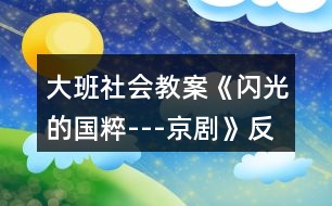 大班社會教案《閃光的國粹---京劇》反思