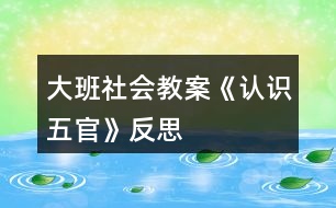 大班社會教案《認(rèn)識五官》反思